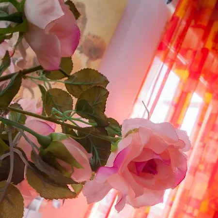 Limoni Sul Mare Bed & Breakfast Torre Faro